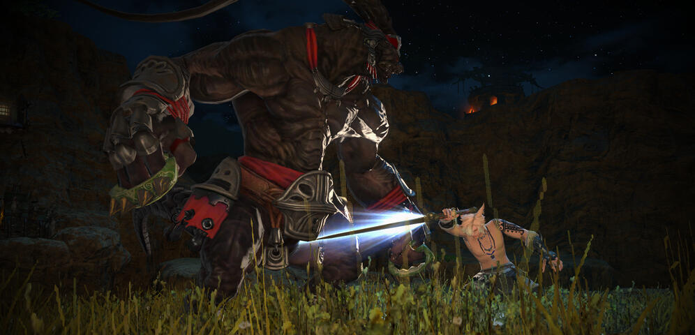Amalj'aa Fight 1