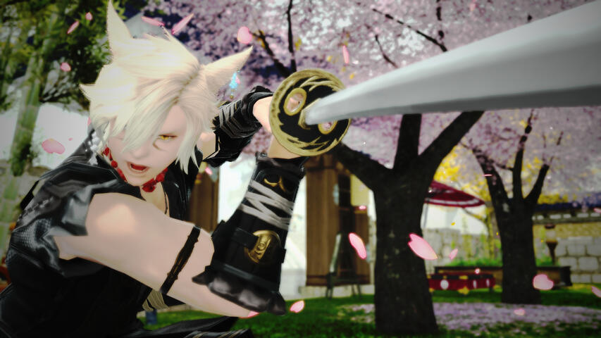 Sakura SAM 2